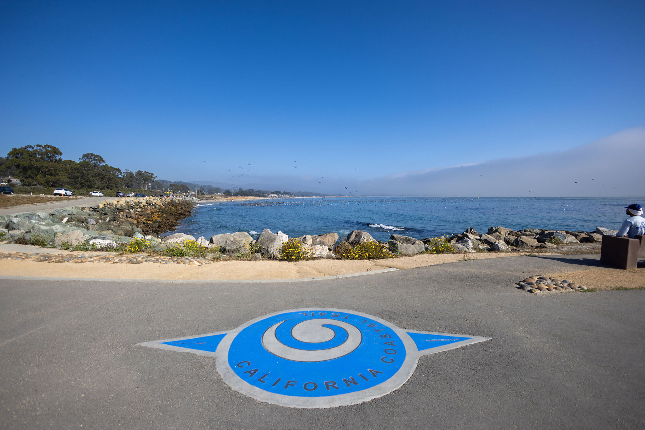 placeholder image-sq