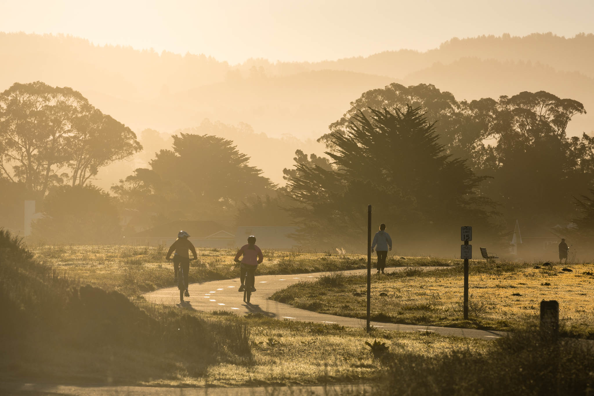 placeholder image-sq